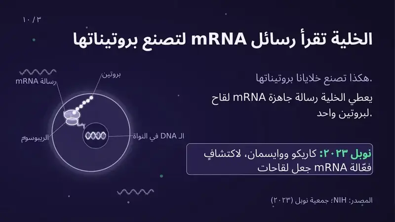 Arabic biology presentation slide